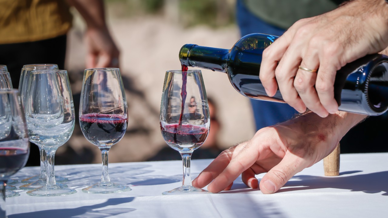 Why Organic Wine