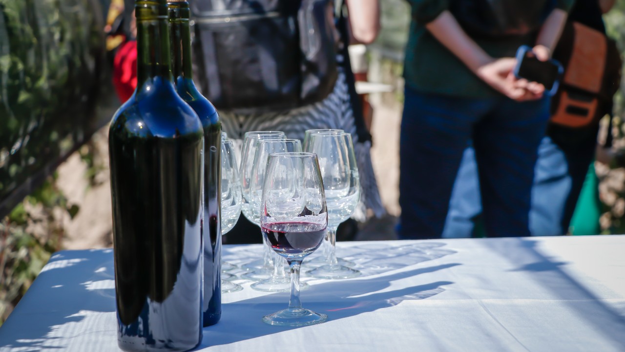 Two bottles of wine sit on a table with glasses and people in the foreground that want organic wine in America