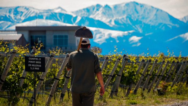 A wine producer walks in a vineyard with a shovel and mountains in front of him while making wine that stands up to generational wine trends